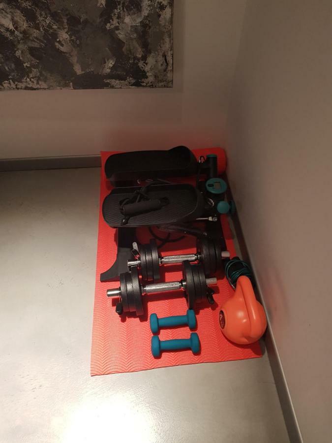 Apartman Vip, With Free Garage Parking プーラ エクステリア 写真